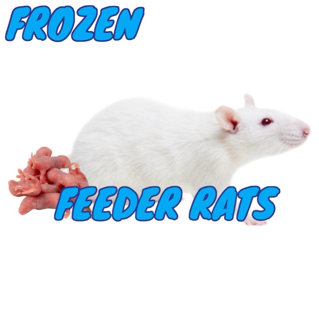 Frozen Feeder Rats