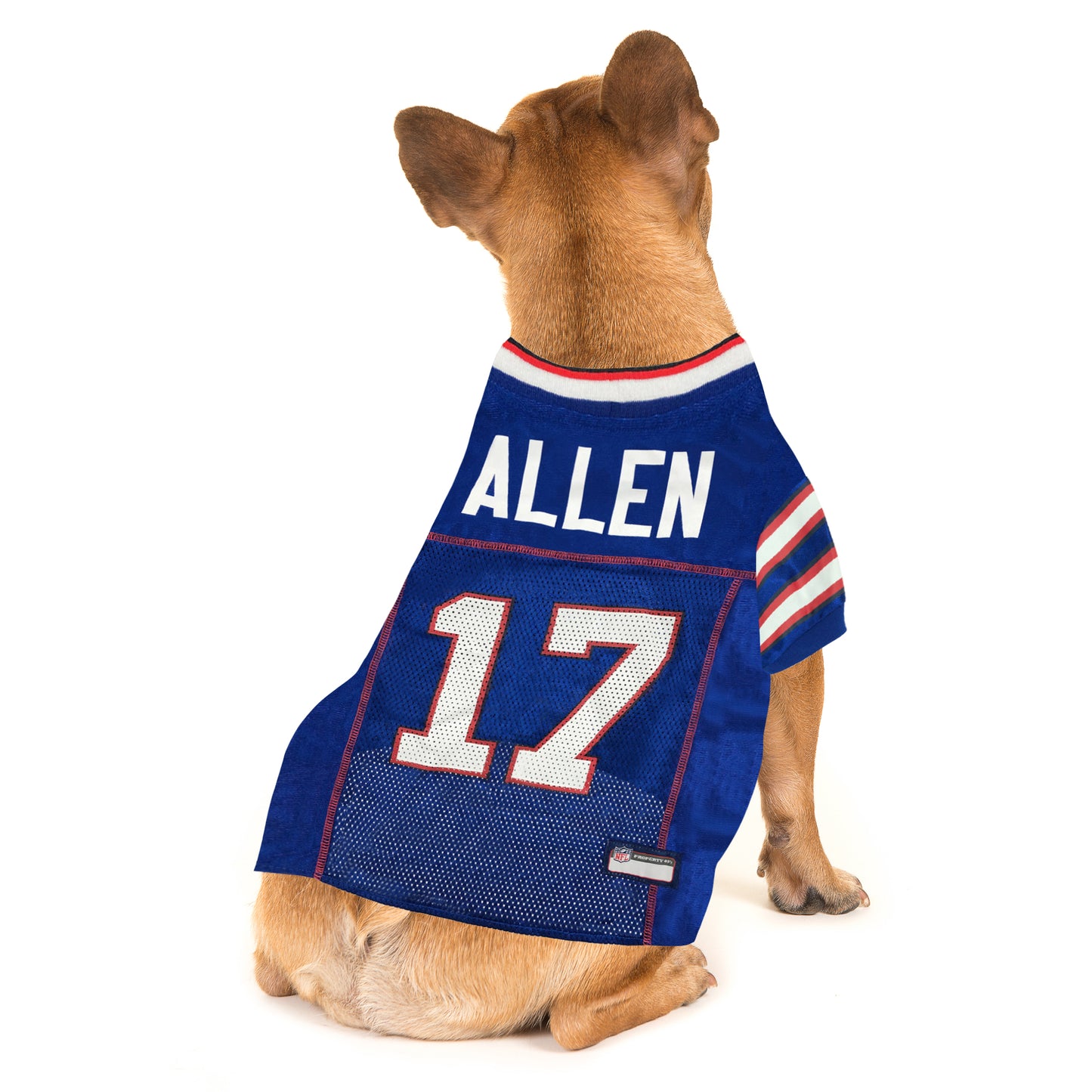 Buffalo Bills Official Team Josh Allen Pet Jersey