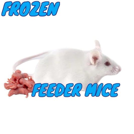 Frozen Feeder Mice