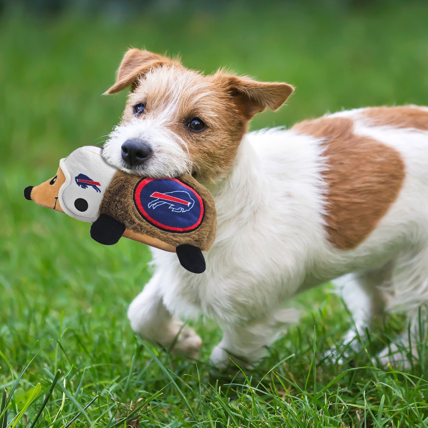 Buffalo Bills Official Team Hedgehog Plush