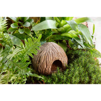 Exo Terra Coconut Cave - Nesting & Egg-Laying Hide