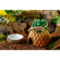 Exo Terra Coconut Water Dish
