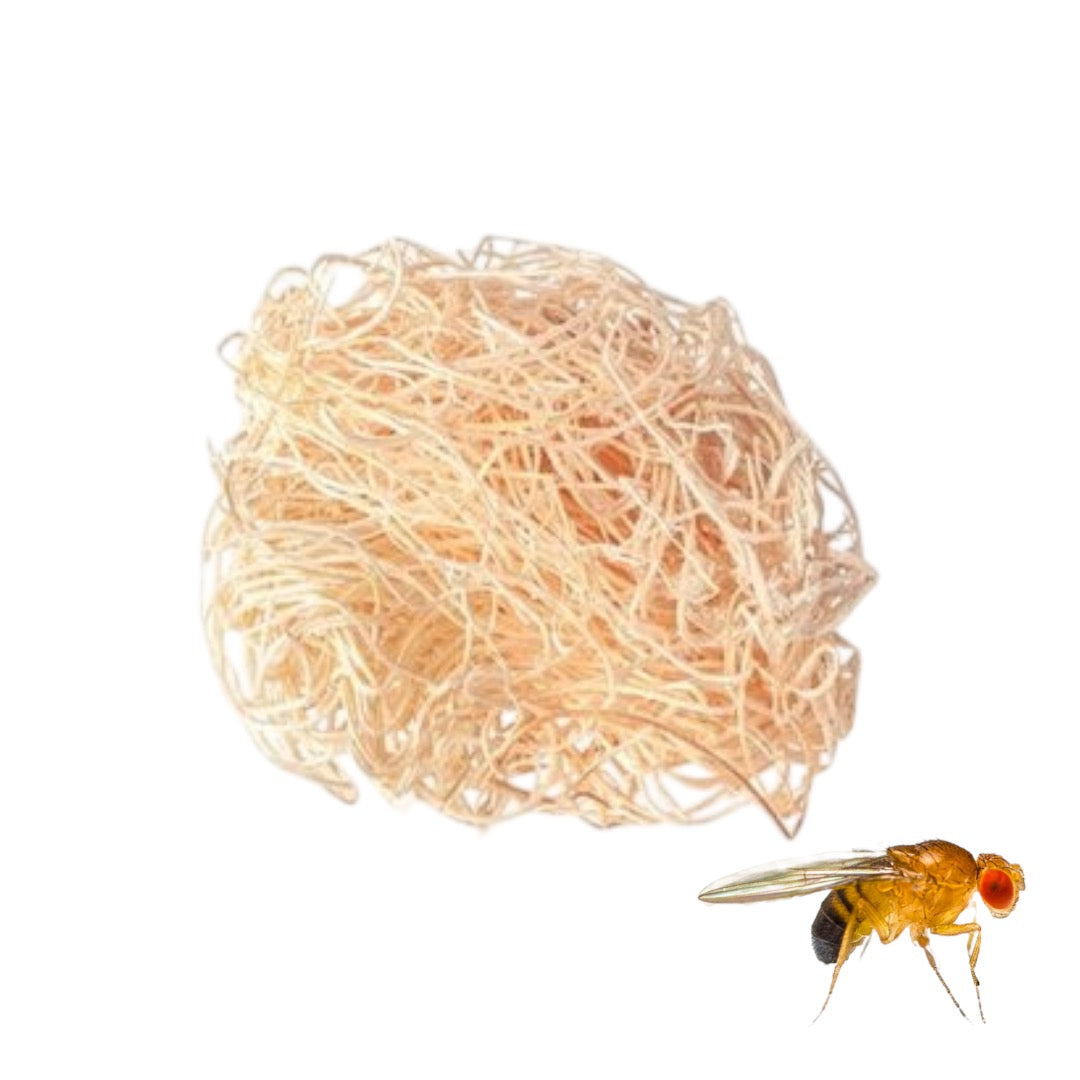 Excelsior Aspen Premium Fly Media