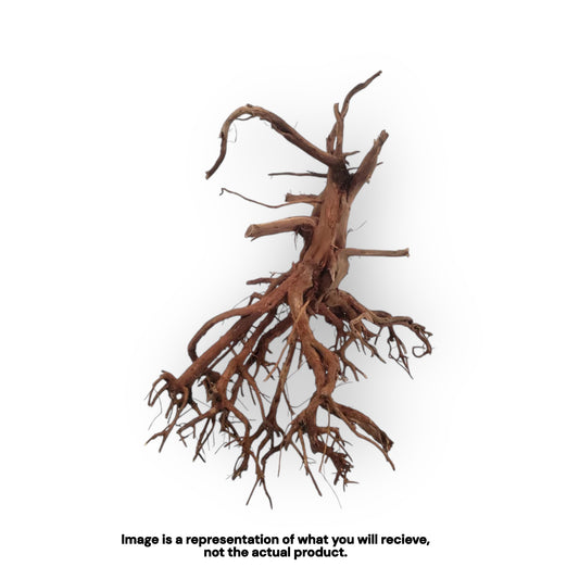 Mekong Spider Wood (Assorted Sizes)