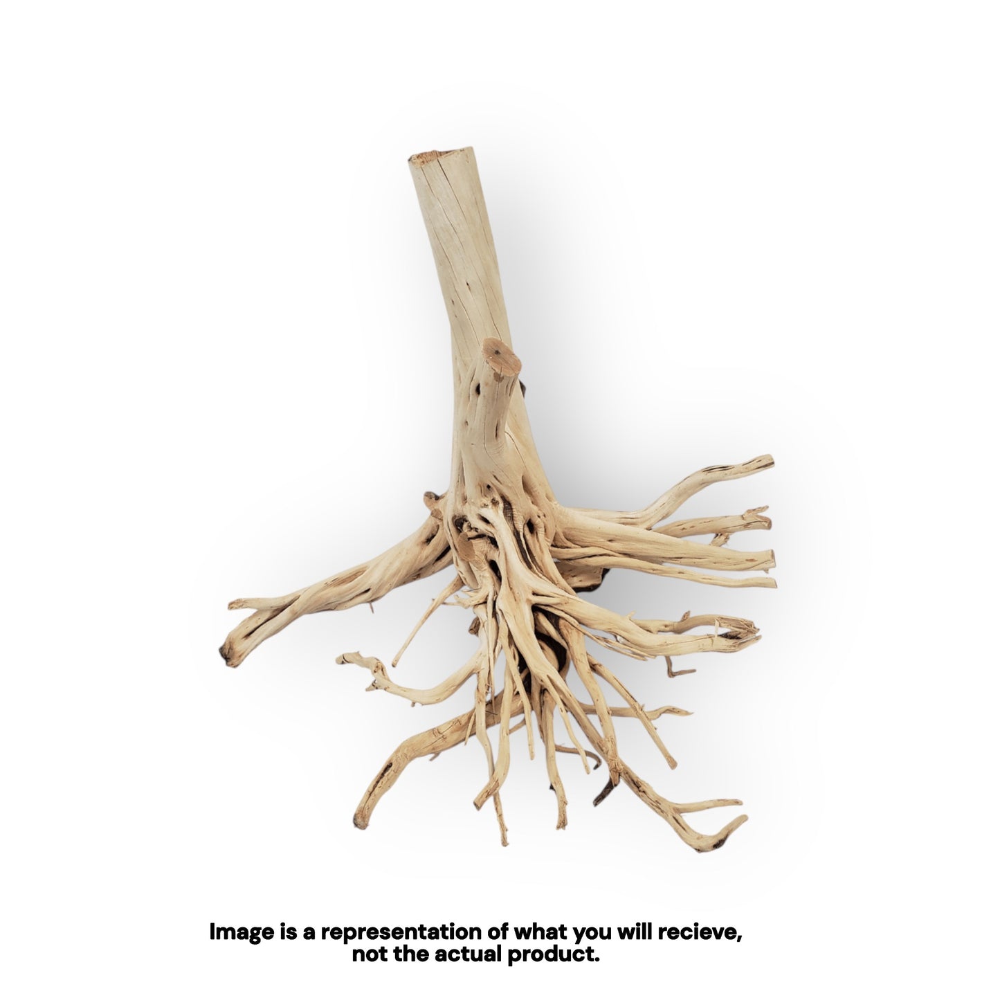 Amur River Wood (Assorted Sizes)