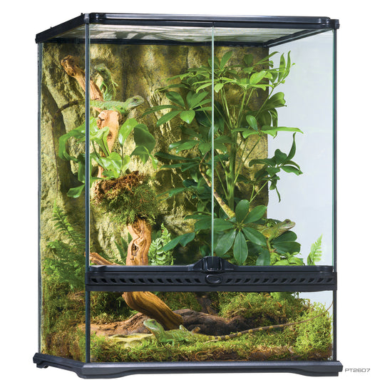 Exo Terra Tall Terrarium - Small Tall