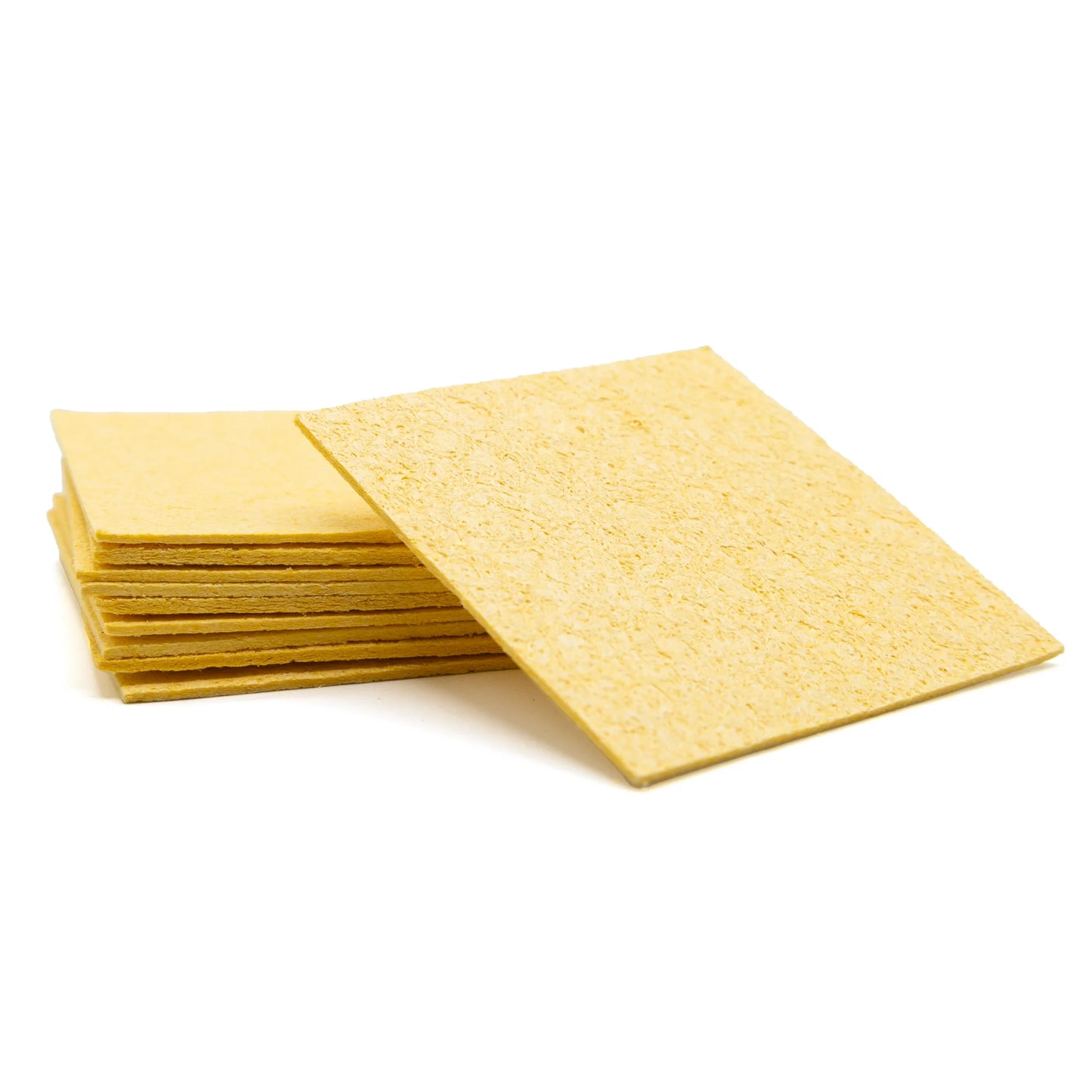 Pangea Humidity Hide Sponges (10 Pack)