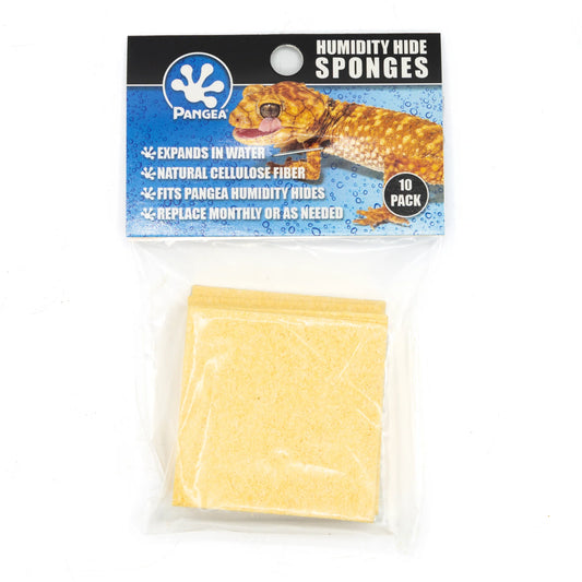 Pangea Humidity Hide Sponges (10 Pack)