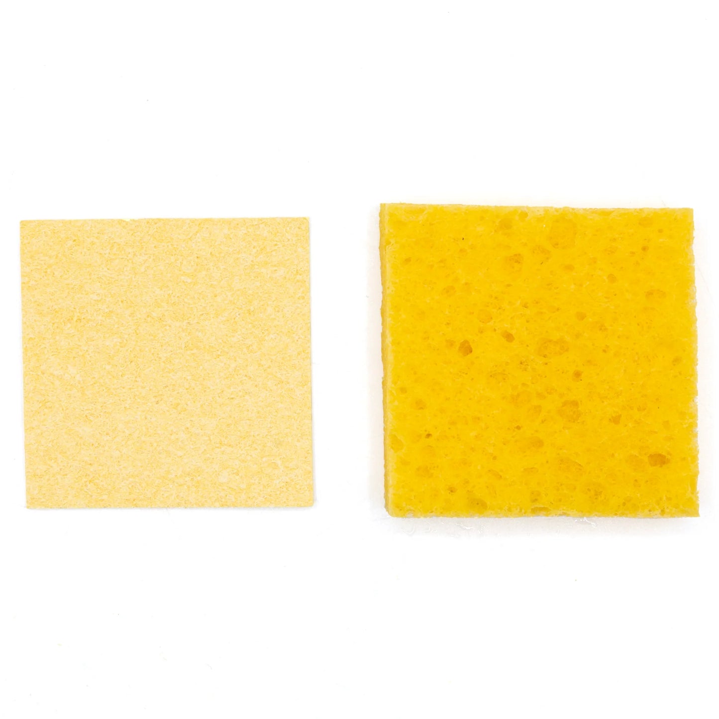 Pangea Humidity Hide Sponges (10 Pack)