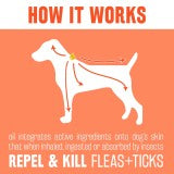 TropiClean Natural Flea & Tick Spot On Treatment for Dogs
