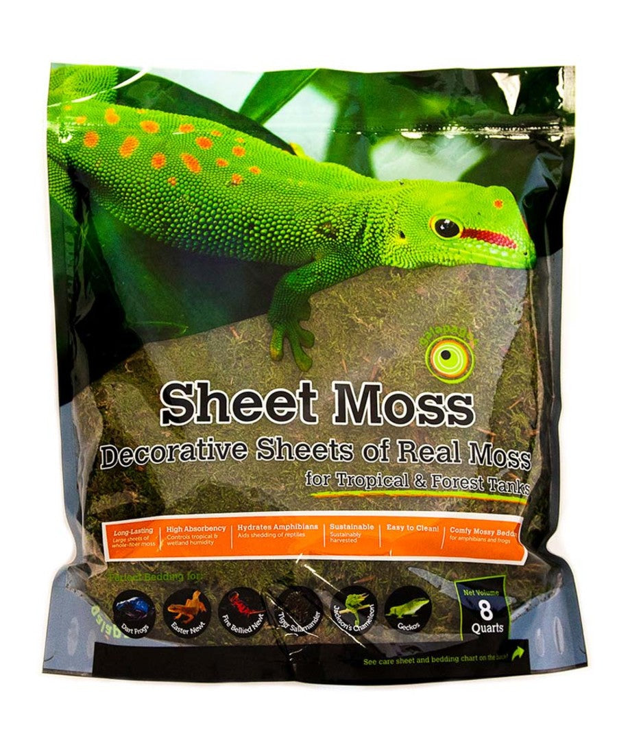 Galapagos Sheet Moss Decorative Sheet of Real Moss Substrate