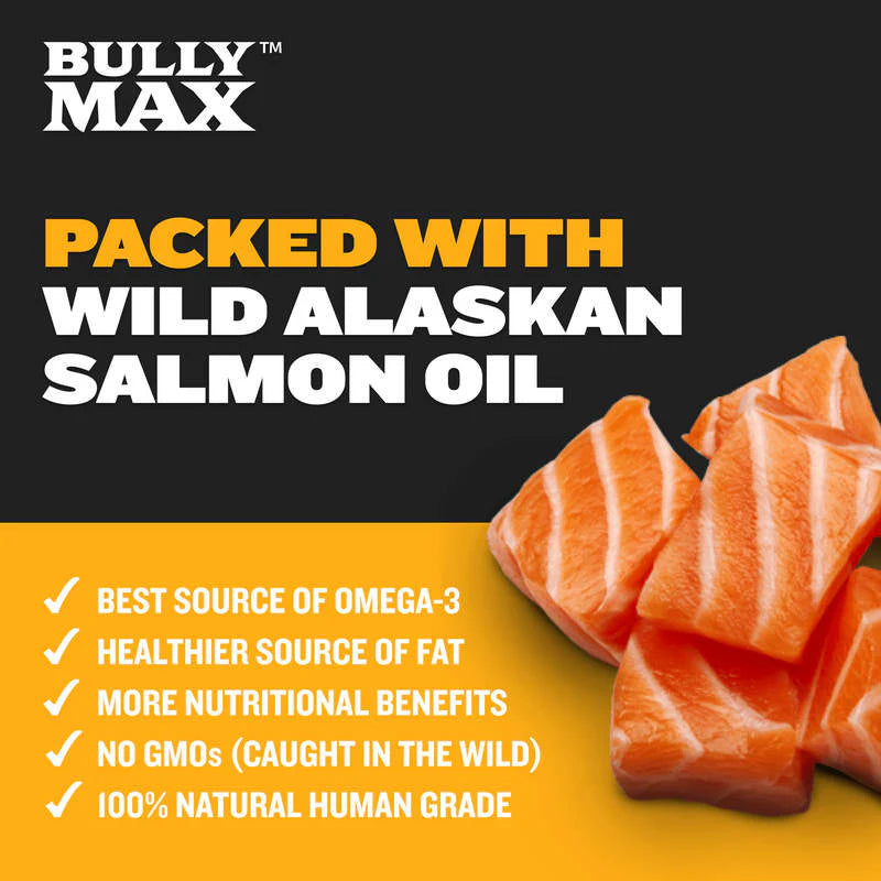 BULLY MAX TRAINING CHEWS FOR MUSCLE GAIN