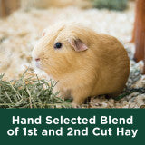 Kaytee Timothy Hay Plus Carrots