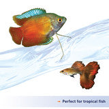 Aqueon Nutrinsect Fish-Free Tropical Fish Food