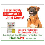 HomeoPet Joint Stress
