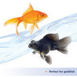 Aqueon Nutrinsect Fish-Free Gold Fish Food