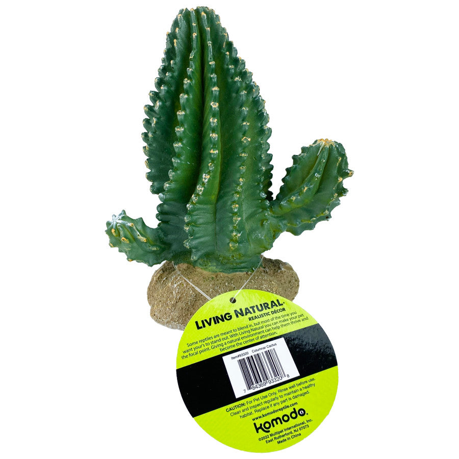 Komodo Cactus Plant Columnar