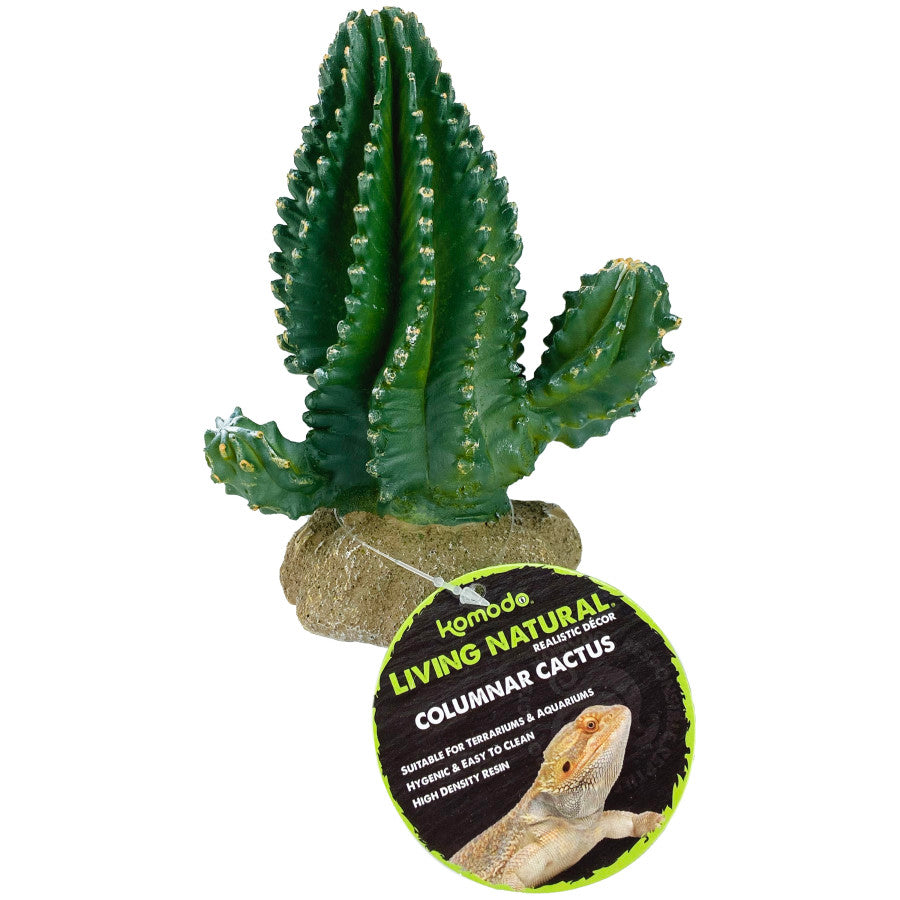 Komodo Cactus Plant Columnar