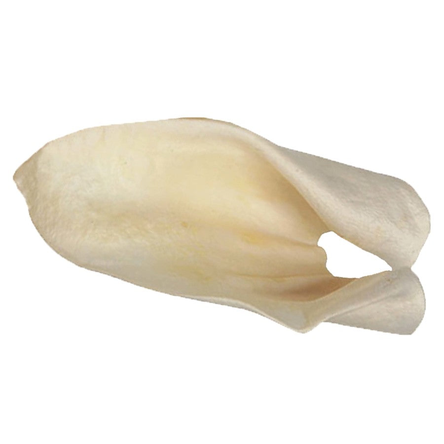 Redbarn Pet Products Cow Ears Dog Chew