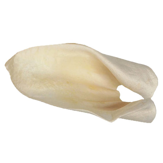 Redbarn Pet Products Cow Ears Dog Chew