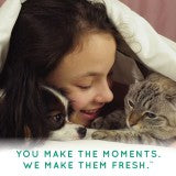 TropiClean Deodorizing Ear Cleaning Pet Wipes
