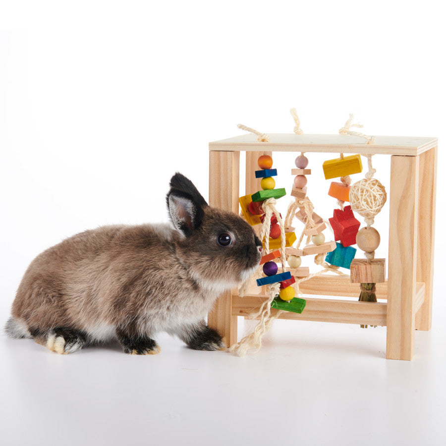 Oxbow Animal Health Enriched Life Small Animal Play Table