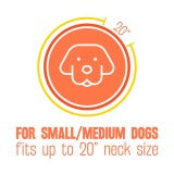 TropiClean Natural Flea & Tick Repellent Dog Collar
