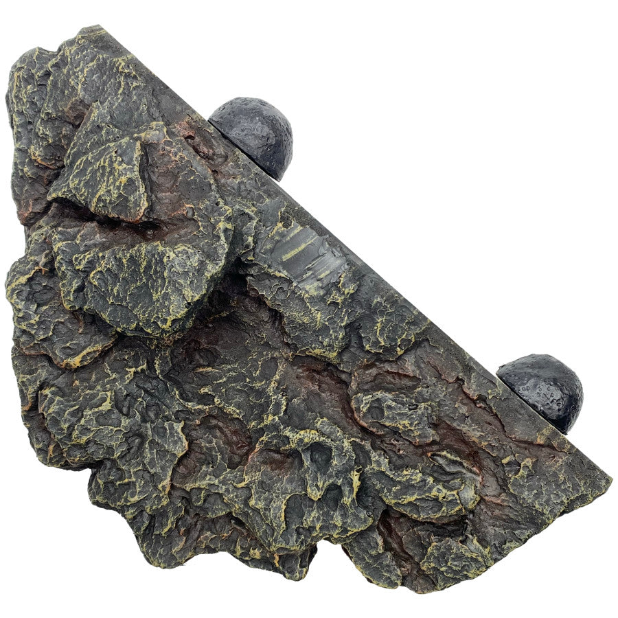 Komodo Magnetic Gecko Ledge