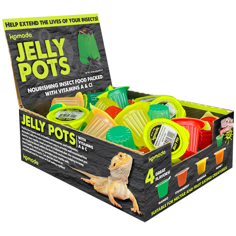 Komodo Natural Jelly Pots Display