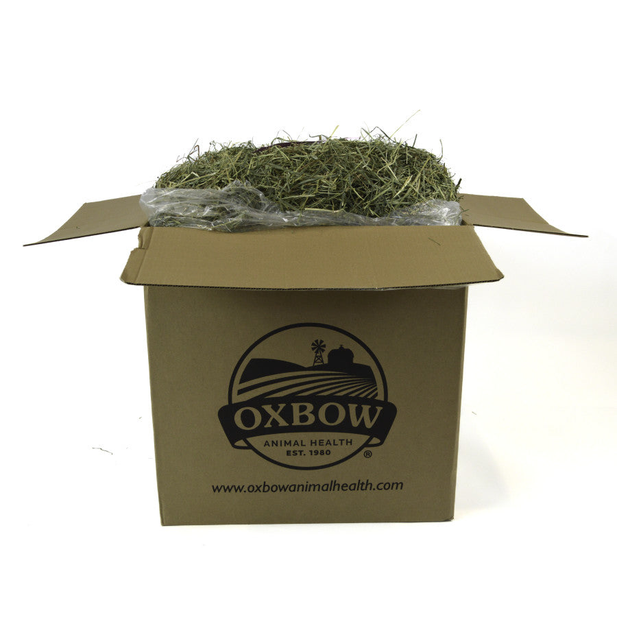 Oxbow Animal Health Orchard Grass Hay