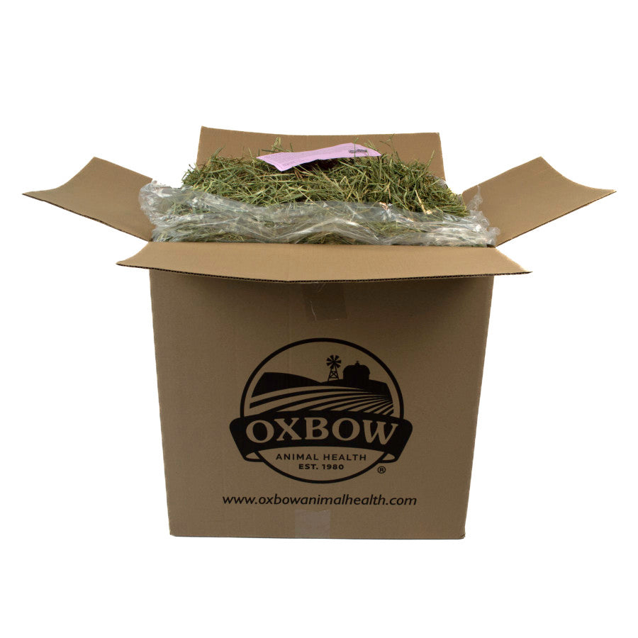 Oxbow Animal Health Western Timothy Hay