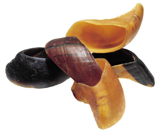 Redbarn Pet Products Cow Hooves Dog Chews