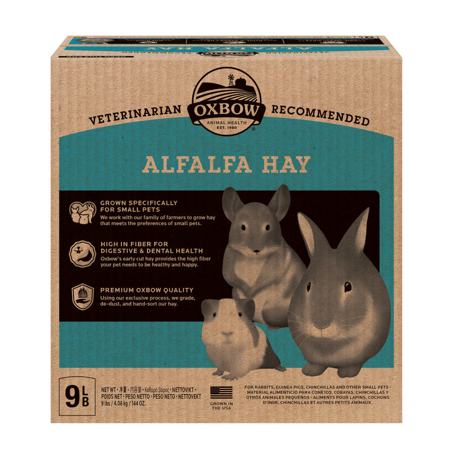 Oxbow Animal Health Alfalfa Hay Small Animal Treat