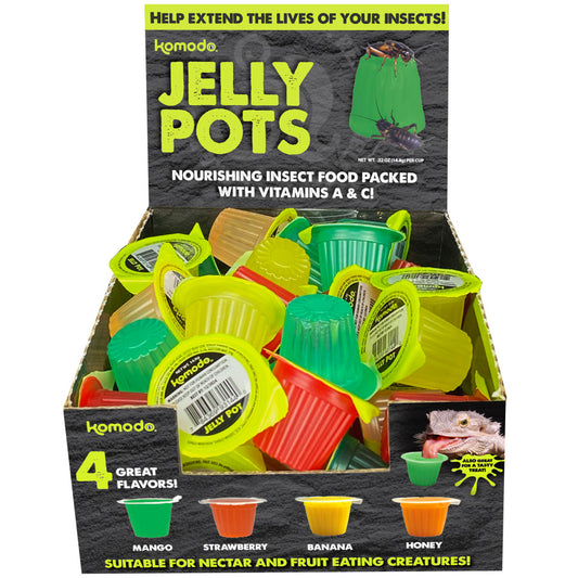 Komodo Natural Jelly Pots Display
