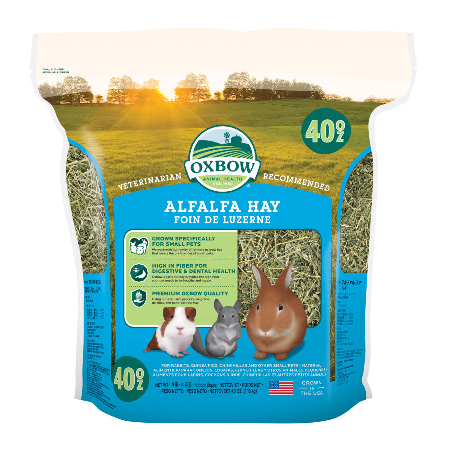 Oxbow Animal Health Alfalfa Hay Small Animal Treat