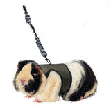 Kaytee Comfort Harness & Stretchy Leash