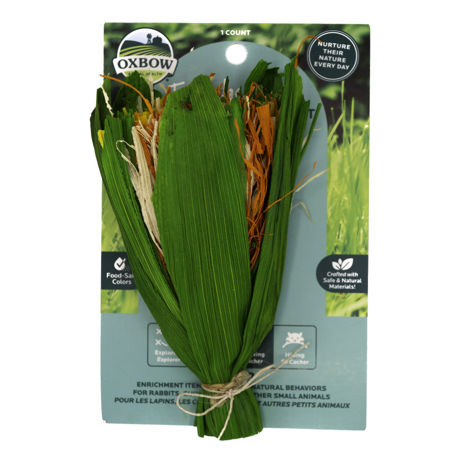 Oxbow Animal Health Enriched Life Celebration Bouquet Small Animal Chew Toy