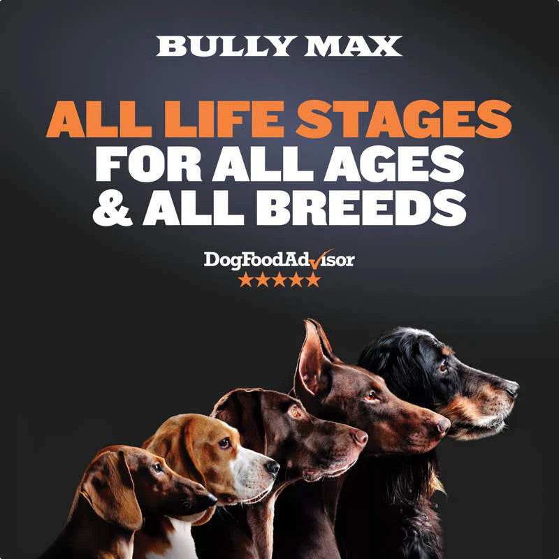 BULLY MAX 26/12 HIGH PROTEIN WET DOG FOOD