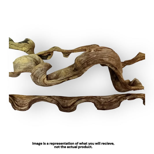 Escada Wood Vine (Assorted Sizes)