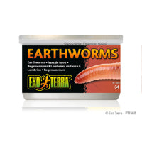 Exo Terra Canned Earthworms