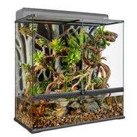 Exo Terra Advanced Paludarium & Rainforest Terrarium - Large X-Tall