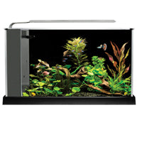 Fluval Spec Aquarium Kit - Black - 19 L (5 US gal)