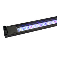 FLUVAL Plant LED Light