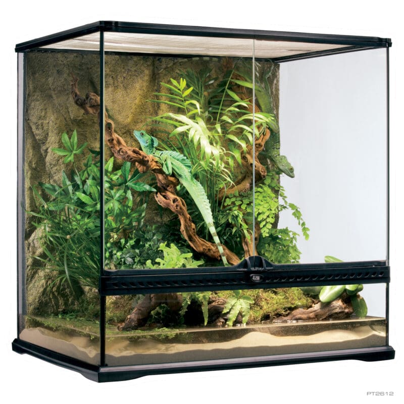 Exo Terra Tall Terrarium - Medium Tall