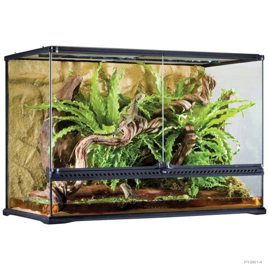 Exo Terra Tall Terrarium - Large Tall