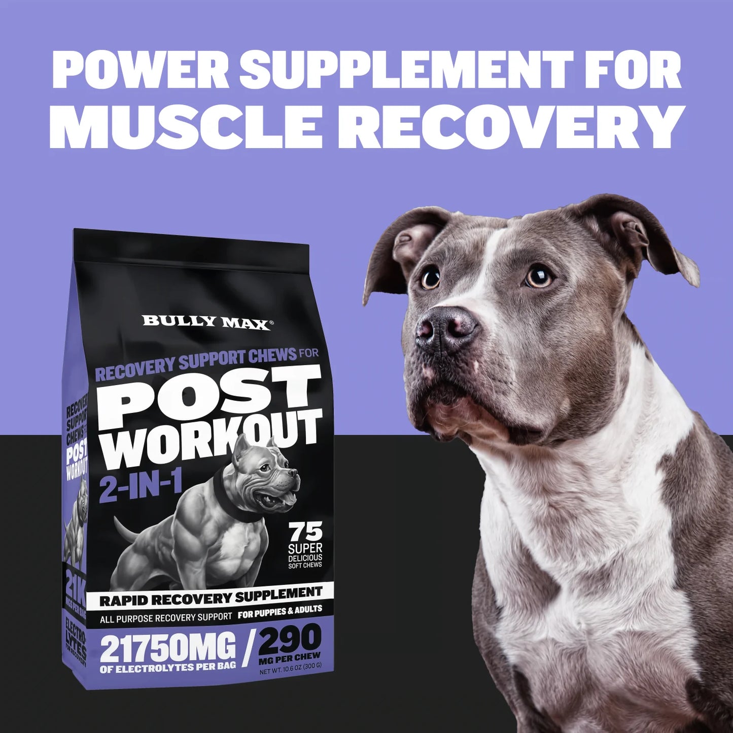 BULLY MAX RECOVERY SUPPORT CHEWS FOR POST WORKOUT