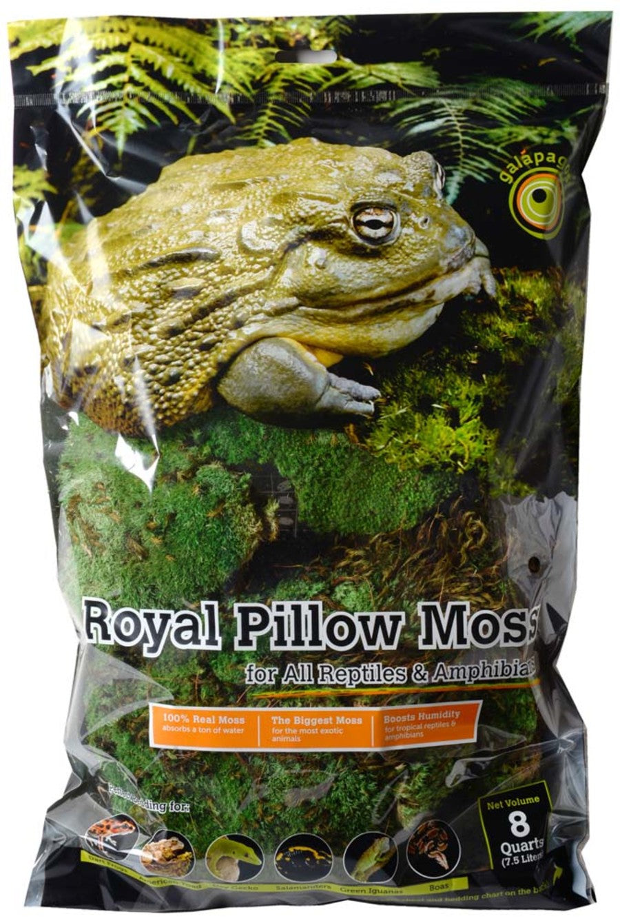 Galapagos Royal Pillow Moss for Tropical & Forest Tanks Fresh Green