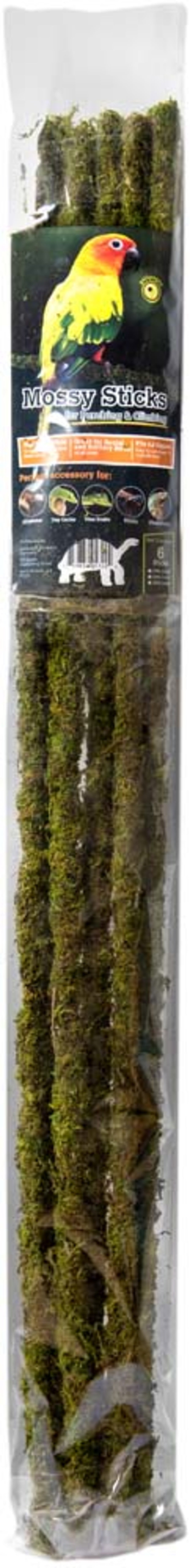 Galapagos Mossy Sticks Terrarium Ornament