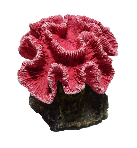 Hikari USA Marine Series Coral Resin Ornament