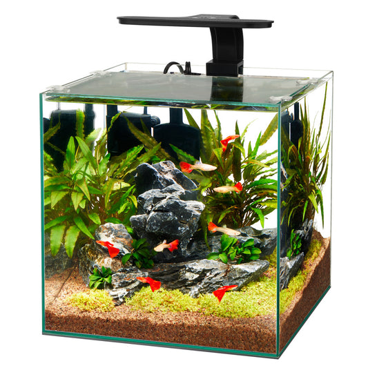 Aqueon Frameless Cube Aquarium